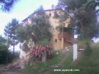 /album/resim-galerisi/images-44-jpg/